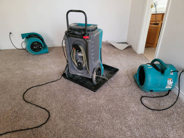 Best Flood restoration services  in Gladstone, MO