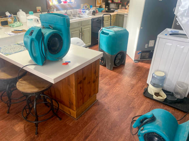  Gladstone, MO Water damage restoration Pros