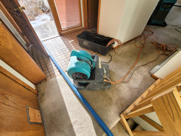 Best Commercial water damage restoration  in Gladstone, MO