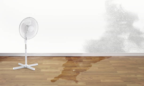 Sewage cleanup and water damage restoration in Gladstone, MO