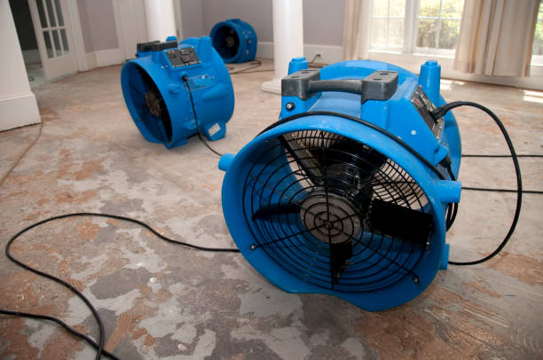 Best Water damage restoration mold remediation  in Gladstone, MO