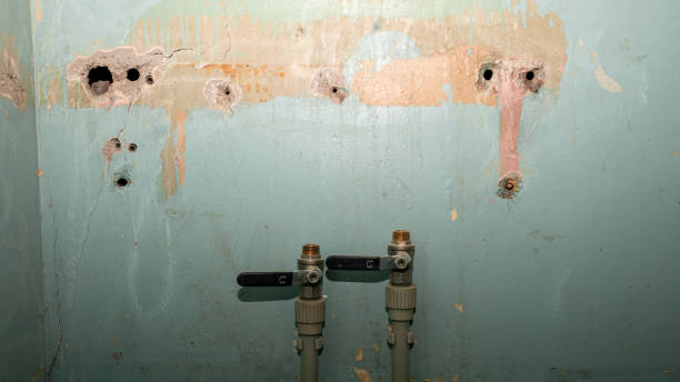 Best Water damage restoration company  in Gladstone, MO