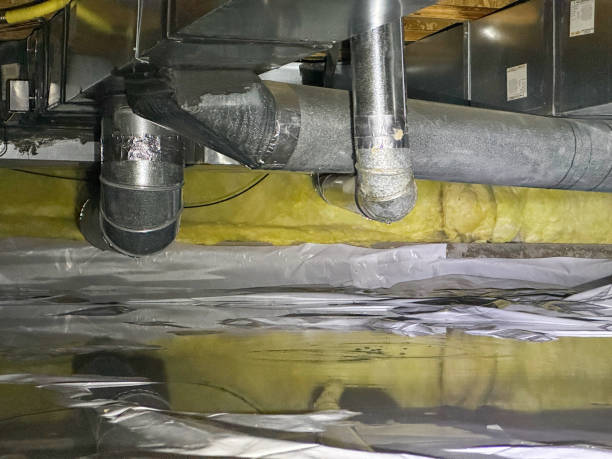 Best Ceiling water damage repair  in Gladstone, MO