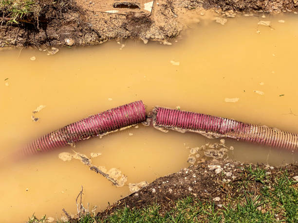  Gladstone, MO Water damage restoration Pros