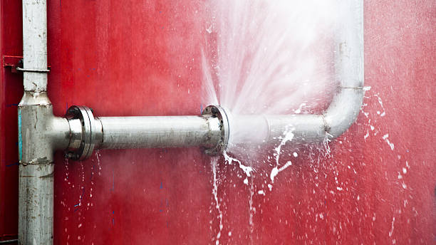 Best Water damage contractors near me  in Gladstone, MO